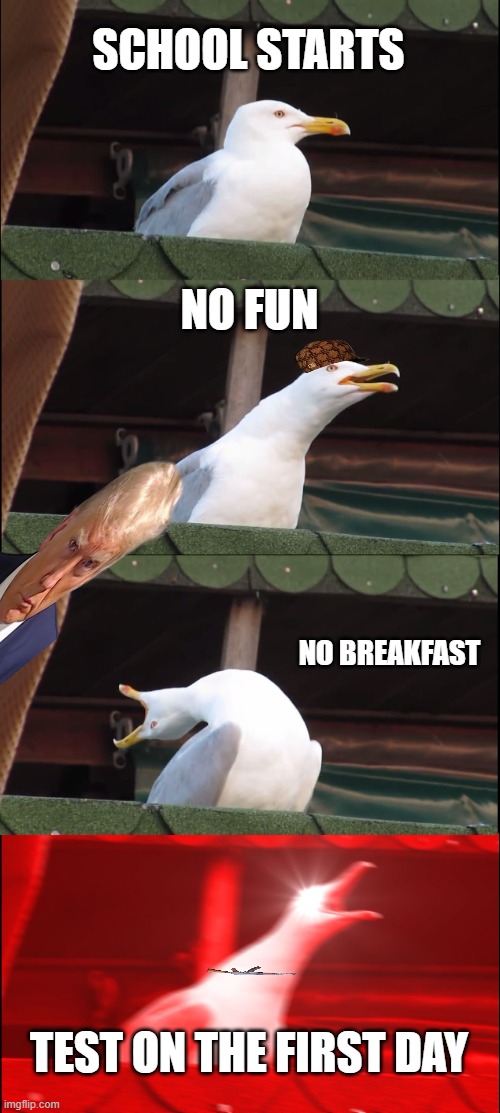 Inhaling Seagull | SCHOOL STARTS; NO FUN; NO BREAKFAST; TEST ON THE FIRST DAY | image tagged in memes,inhaling seagull | made w/ Imgflip meme maker
