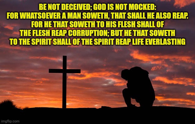 Kneeling before the cross | BE NOT DECEIVED; GOD IS NOT MOCKED: FOR WHATSOEVER A MAN SOWETH, THAT SHALL HE ALSO REAP.
FOR HE THAT SOWETH TO HIS FLESH SHALL OF THE FLESH REAP CORRUPTION; BUT HE THAT SOWETH TO THE SPIRIT SHALL OF THE SPIRIT REAP LIFE EVERLASTING | image tagged in kneeling before the cross | made w/ Imgflip meme maker