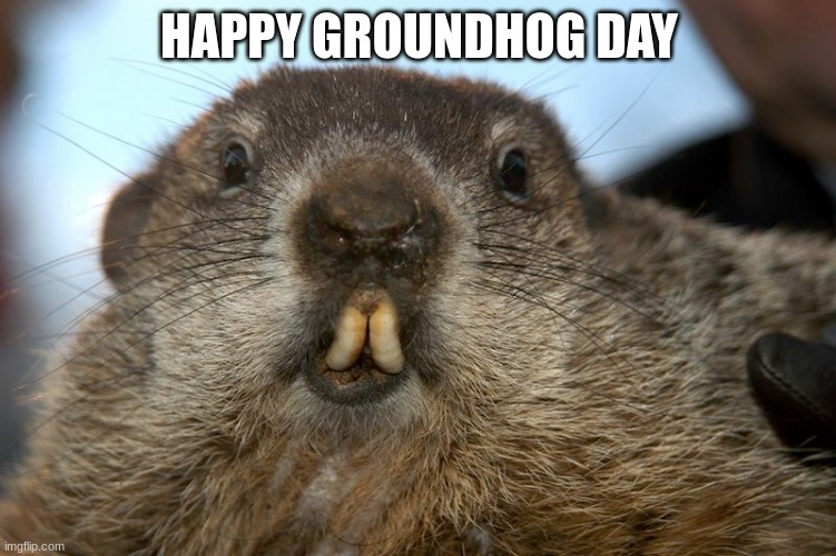 Groundhog | HAPPY GROUNDHOG DAY | image tagged in groundhog day | made w/ Imgflip meme maker