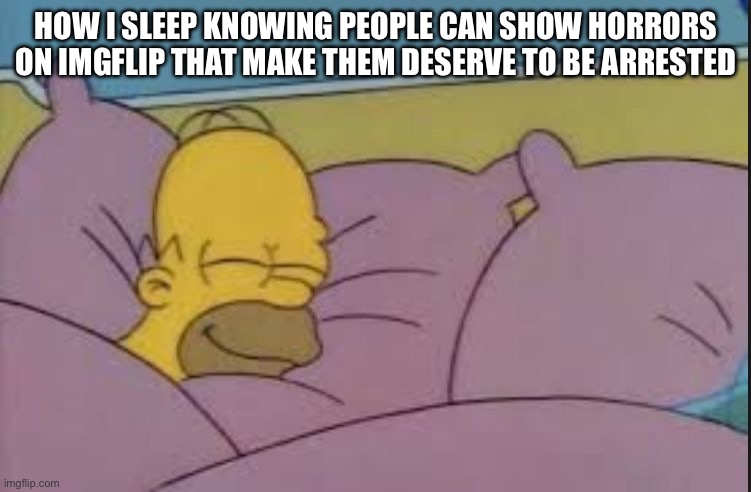 how i sleep homer simpson | HOW I SLEEP KNOWING PEOPLE CAN SHOW HORRORS ON IMGFLIP THAT MAKE THEM DESERVE TO BE ARRESTED | image tagged in how i sleep homer simpson | made w/ Imgflip meme maker