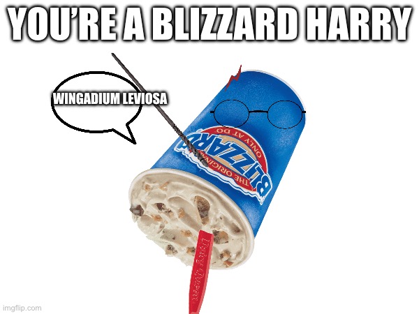 You’re a blizzard harry | YOU’RE A BLIZZARD HARRY; WINGADIUM LEVIOSA | image tagged in funny,harry potter | made w/ Imgflip meme maker