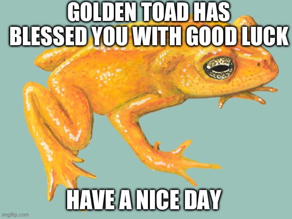 GOLDEN TOAD HAS BLESSED YOU WITH GOOD LUCK; HAVE A NICE DAY | made w/ Imgflip meme maker