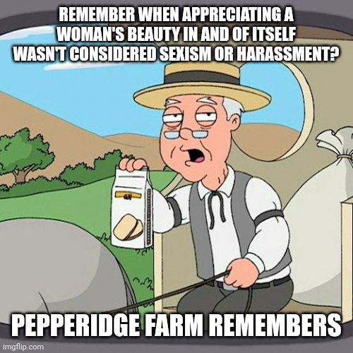 Pepperidge Farm Remembers | REMEMBER WHEN APPRECIATING A WOMAN'S BEAUTY IN AND OF ITSELF WASN'T CONSIDERED SEXISM OR HARASSMENT? PEPPERIDGE FARM REMEMBERS | image tagged in memes,pepperidge farm remembers | made w/ Imgflip meme maker