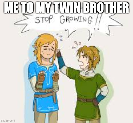 ME TO MY TWIN BROTHER | made w/ Imgflip meme maker