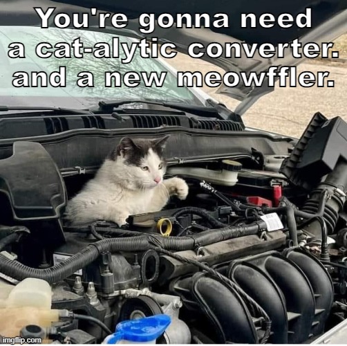 Cat Mechanic | You're gonna need a cat-alytic converter. and a new meowffler. | image tagged in cats,cars | made w/ Imgflip meme maker