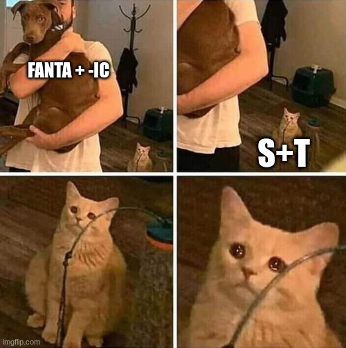 Ignored cat | FANTA + -IC S+T | image tagged in ignored cat | made w/ Imgflip meme maker