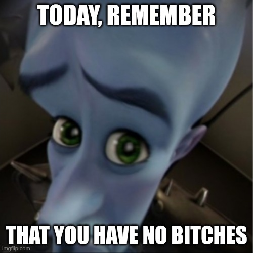 Megamind peeking | TODAY, REMEMBER; THAT YOU HAVE NO BITCHES | image tagged in megamind peeking | made w/ Imgflip meme maker