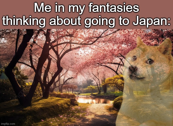 i wanna go so bad! | Me in my fantasies thinking about going to Japan: | image tagged in doge,japan,fantasy,why are you reading the tags,you have been eternally cursed for reading the tags | made w/ Imgflip meme maker