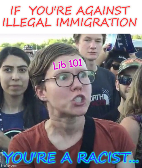 There is no justification to allow illegal immigration | IF  YOU'RE AGAINST ILLEGAL IMMIGRATION; Lib 101; YOU'RE A RACIST... | image tagged in triggered feminist,you are a racist,is all they ever have to call you,they have no justification to allow illegal immigration | made w/ Imgflip meme maker