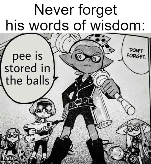 he do be spitting facts tho. | Never forget his words of wisdom: | image tagged in pee is stored in the balls,memes,funny,words of wisdom,splatoon,oh wow are you actually reading these tags | made w/ Imgflip meme maker