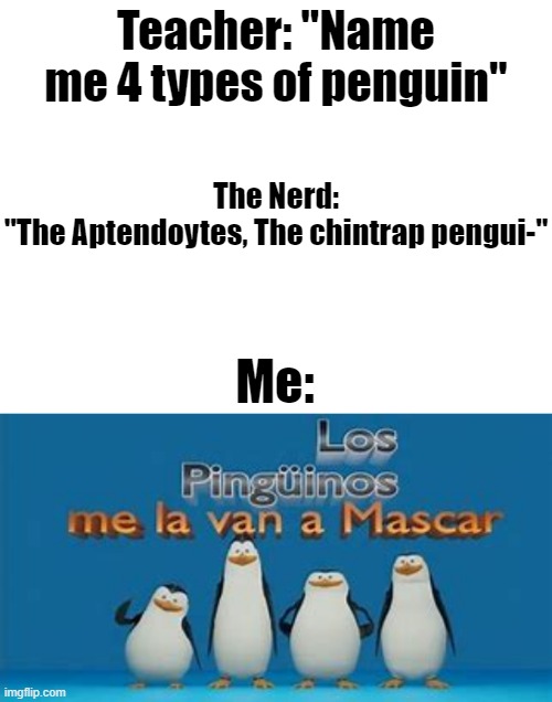 Los studento me van a el cole | Teacher: "Name me 4 types of penguin"; The Nerd:
"The Aptendoytes, The chintrap pengui-"; Me: | image tagged in penguin,teacher | made w/ Imgflip meme maker