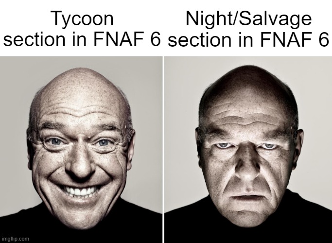 It's all fun and games until your own animatronics go rogue. | Night/Salvage section in FNAF 6; Tycoon section in FNAF 6 | image tagged in dean norris's reaction | made w/ Imgflip meme maker