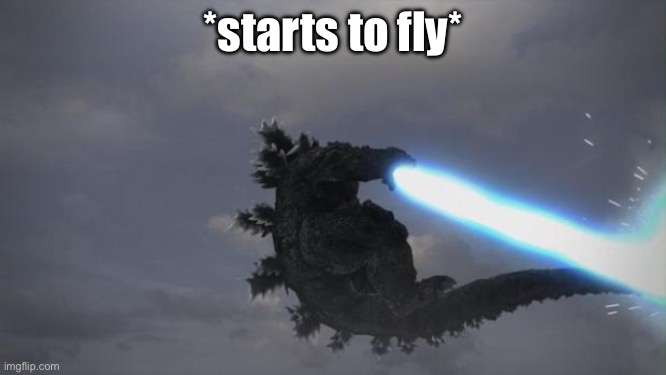 Flying Godzilla | *starts to fly* | image tagged in flying godzilla | made w/ Imgflip meme maker