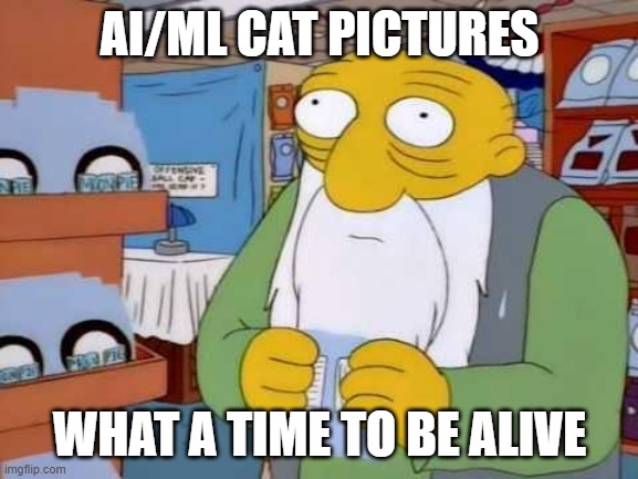 it is the other thing the internet is for | AI/ML CAT PICTURES; WHAT A TIME TO BE ALIVE | image tagged in what a time to be alive | made w/ Imgflip meme maker