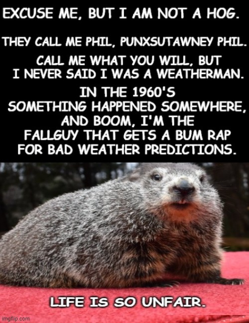 What did you call me? | image tagged in punxsutawney phil,babe please,groundhog day | made w/ Imgflip meme maker