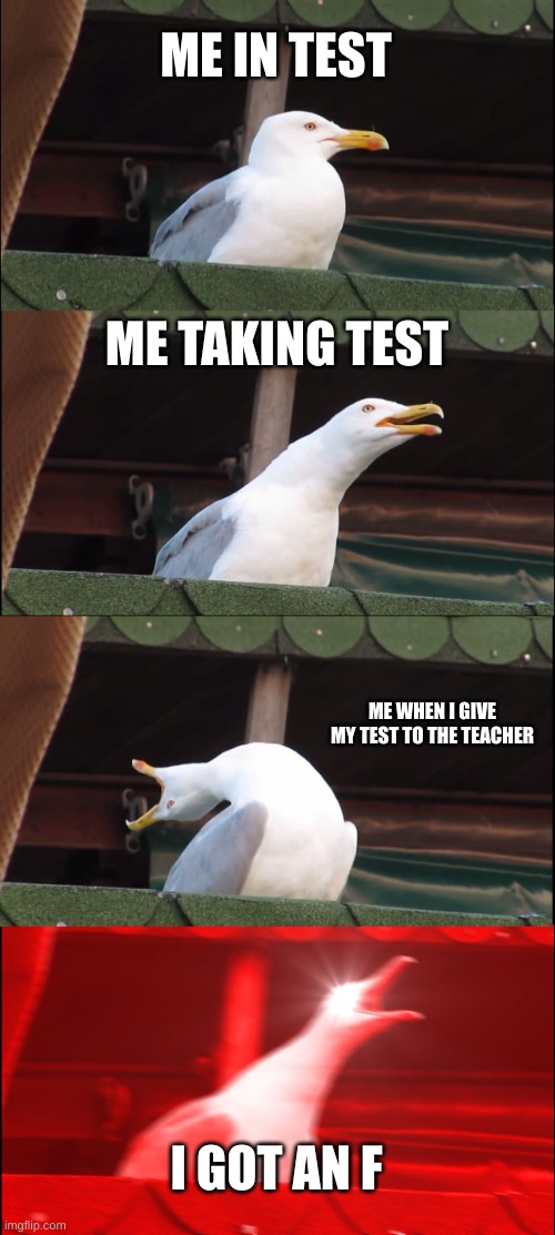Hate when THIS Happens | ME IN TEST; ME TAKING TEST; ME WHEN I GIVE MY TEST TO THE TEACHER; I GOT AN F | image tagged in memes,inhaling seagull | made w/ Imgflip meme maker