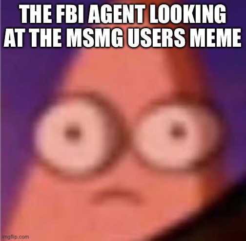 Eyes wide Patrick | THE FBI AGENT LOOKING AT THE MSMG USERS MEME | image tagged in eyes wide patrick | made w/ Imgflip meme maker