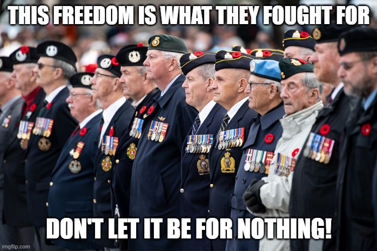THIS FREEDOM IS WHAT THEY FOUGHT FOR; DON'T LET IT BE FOR NOTHING! | made w/ Imgflip meme maker