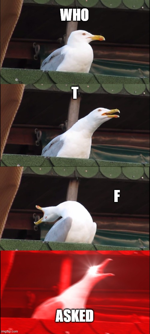 WHO ASKED | WHO; T; F; ASKED | image tagged in memes,inhaling seagull | made w/ Imgflip meme maker