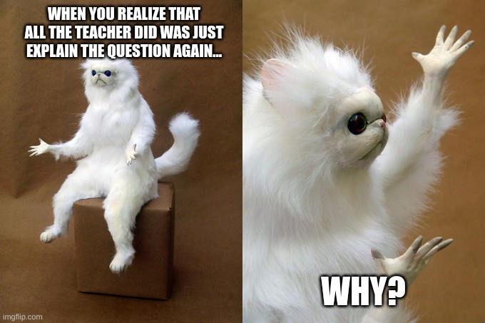 IM STILL CONFUSEDDDD       xd | WHEN YOU REALIZE THAT ALL THE TEACHER DID WAS JUST EXPLAIN THE QUESTION AGAIN... WHY? | image tagged in memes,persian cat room guardian | made w/ Imgflip meme maker