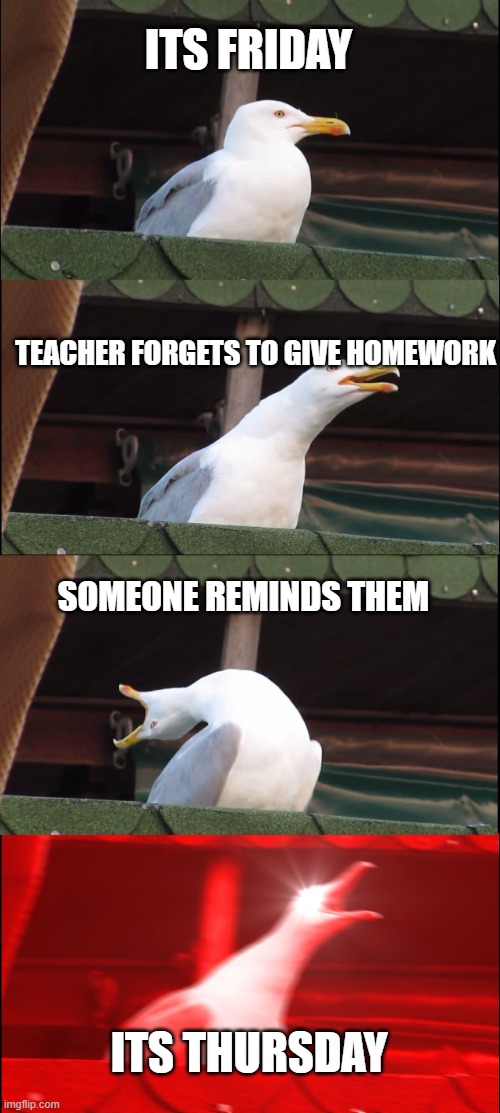 mad seagull | ITS FRIDAY; TEACHER FORGETS TO GIVE HOMEWORK; SOMEONE REMINDS THEM; ITS THURSDAY | image tagged in memes,inhaling seagull,funny,cool,wow,school | made w/ Imgflip meme maker