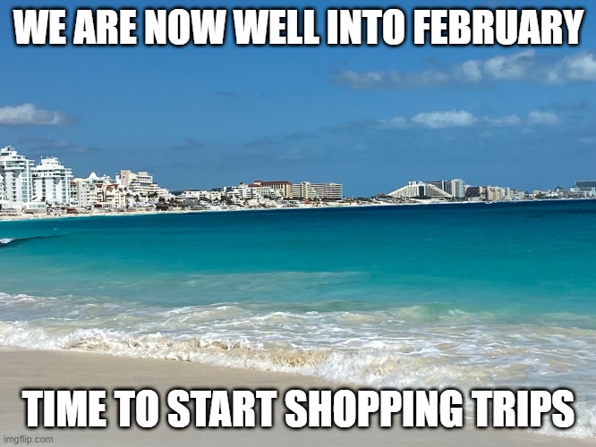 vacations | WE ARE NOW WELL INTO FEBRUARY; TIME TO START SHOPPING TRIPS | image tagged in february | made w/ Imgflip meme maker