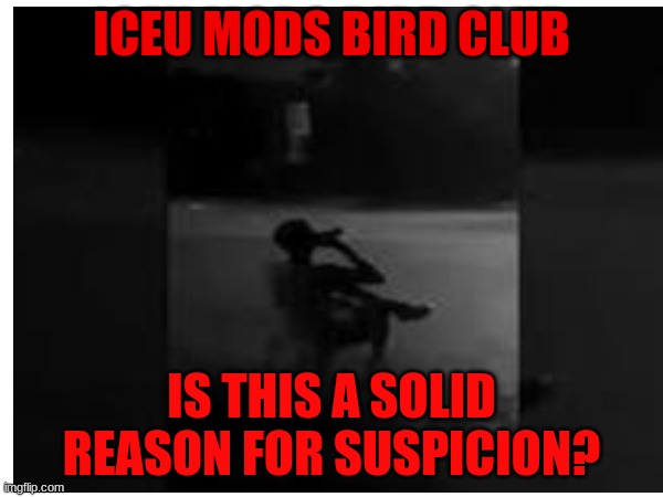 This can go 2 ways | ICEU MODS BIRD CLUB; IS THIS A SOLID REASON FOR SUSPICION? | image tagged in iceu,oh no,we lost | made w/ Imgflip meme maker
