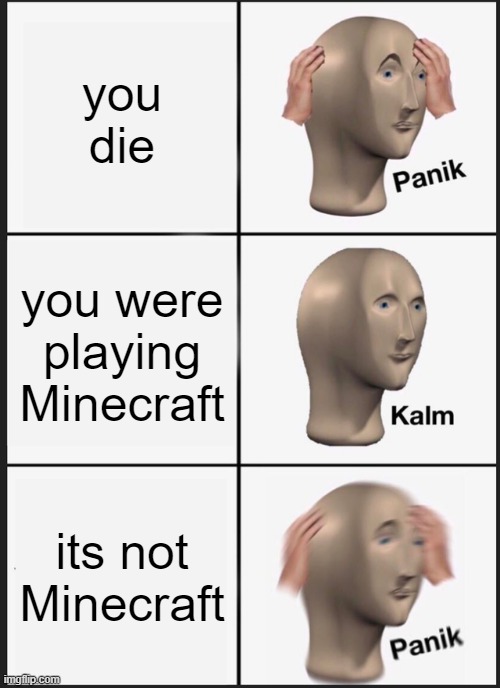 OHH NOO | you die; you were playing Minecraft; its not Minecraft | image tagged in memes,panik kalm panik | made w/ Imgflip meme maker
