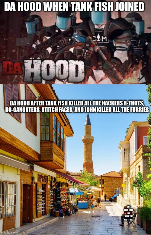i need a lot of help | DA HOOD WHEN TANK FISH JOINED; DA HOOD AFTER TANK FISH KILLED ALL THE HACKERS R-THOTS, RO-GANGSTERS, STITCH FACES, AND JOHN KILLED ALL THE FURRIES; GUY WHO LIKED DA HOOD THE WAY IT WAS | image tagged in roblox meme | made w/ Imgflip meme maker