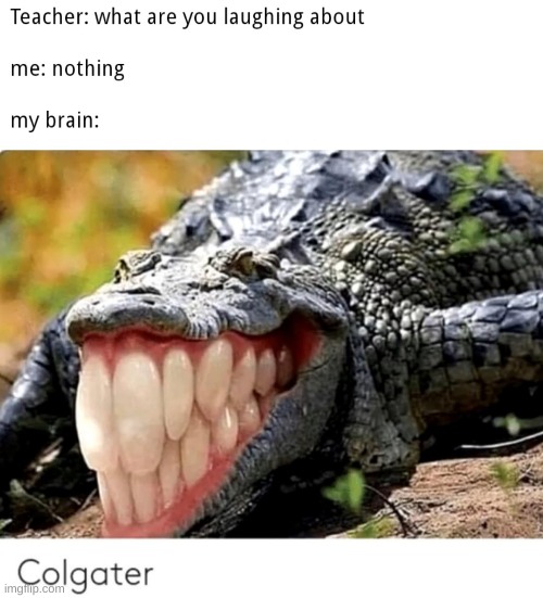 At least it'll be a clean bite... | image tagged in colgater,alligator,colgate,why are you reading the tags | made w/ Imgflip meme maker