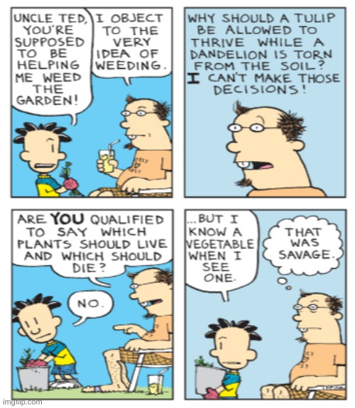nate is a savage | image tagged in roasted,big nate | made w/ Imgflip meme maker