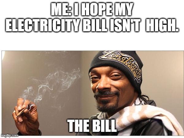 this will be costly | ME: I HOPE MY ELECTRICITY BILL ISN'T  HIGH. THE BILL | image tagged in snop dogg,bill | made w/ Imgflip meme maker
