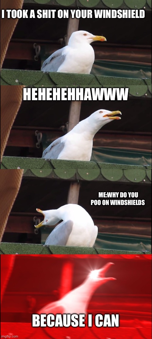 Inhaling Seagull | I TOOK A SHIT ON YOUR WINDSHIELD; HEHEHEHHAWWW; ME:WHY DO YOU POO ON WINDSHIELDS; BECAUSE I CAN | image tagged in memes,inhaling seagull | made w/ Imgflip meme maker