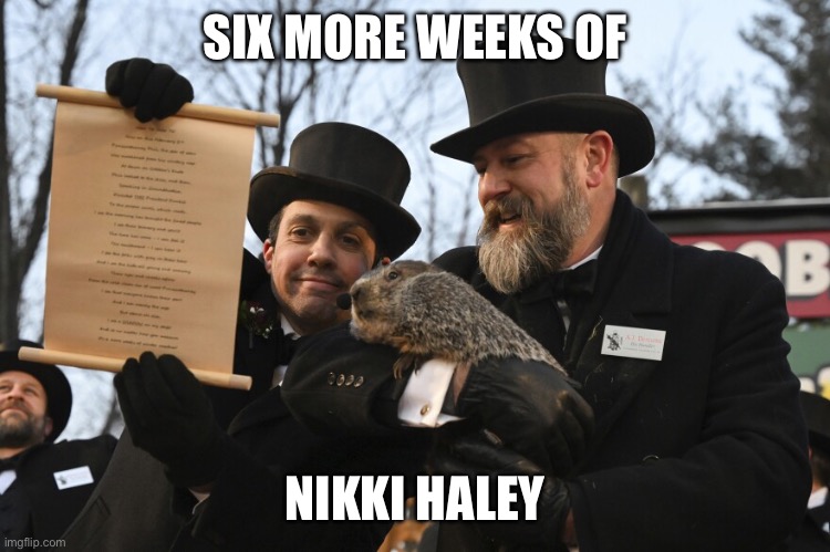 Ground Hog Day | SIX MORE WEEKS OF; NIKKI HALEY | image tagged in ground hog day | made w/ Imgflip meme maker