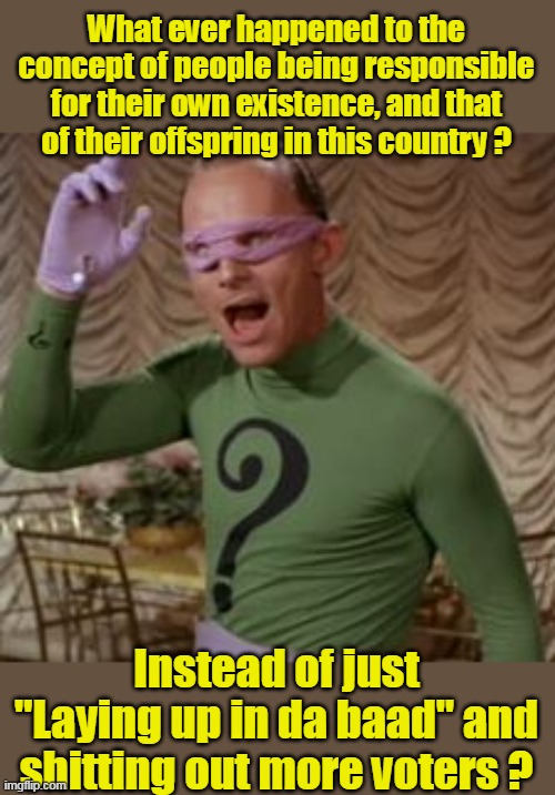 Riddle me this | What ever happened to the concept of people being responsible for their own existence, and that of their offspring in this country ? Instead of just "Laying up in da baad" and shitting out more voters ? | image tagged in riddler voters meme | made w/ Imgflip meme maker