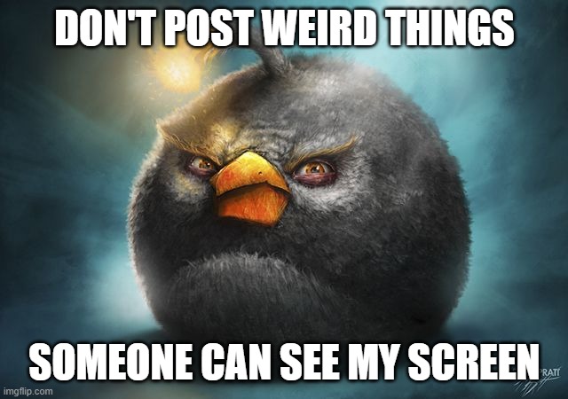 angry birds bomb | DON'T POST WEIRD THINGS; SOMEONE CAN SEE MY SCREEN | image tagged in angry birds bomb | made w/ Imgflip meme maker