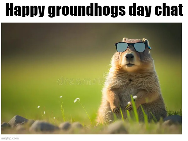 Early spring chat?! | Happy groundhogs day chat | image tagged in groundhog day,yippiee,very happy,love wins | made w/ Imgflip meme maker
