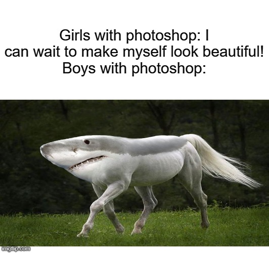 Girls with photoshop: I can wait to make myself look beautiful!
Boys with photoshop: | image tagged in memes,shark,horse,weird photoshop | made w/ Imgflip meme maker
