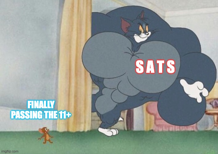 tom and jerry | S A T S; FINALLY PASSING THE 11+ | image tagged in tom and jerry | made w/ Imgflip meme maker