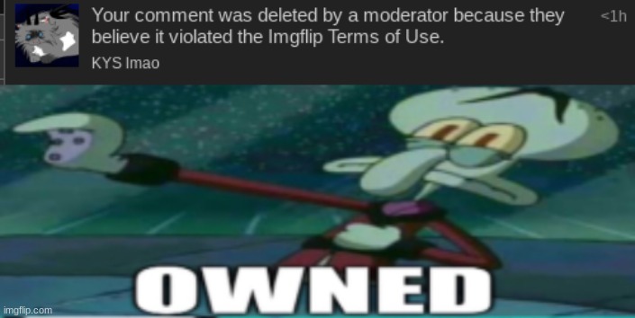 guess I'm banned now smh. | image tagged in owned | made w/ Imgflip meme maker