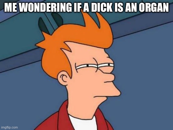 Uhhhhhhhhh | ME WONDERING IF A DICK IS AN ORGAN | image tagged in memes,futurama fry | made w/ Imgflip meme maker