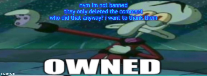 owned | nvm im not banned
they only deleted the comment
who did that anyway? i want to thank them | image tagged in owned | made w/ Imgflip meme maker