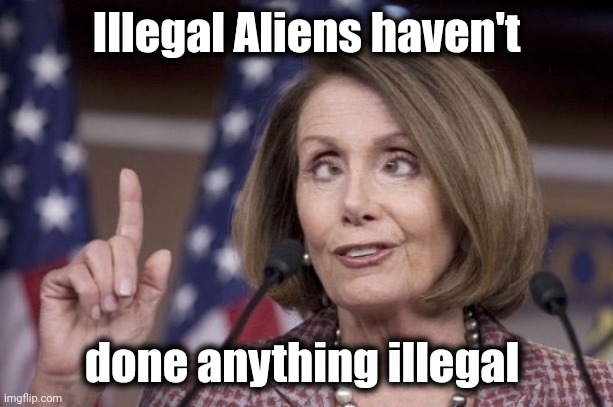 Nancy pelosi | Illegal Aliens haven't done anything illegal | image tagged in nancy pelosi | made w/ Imgflip meme maker