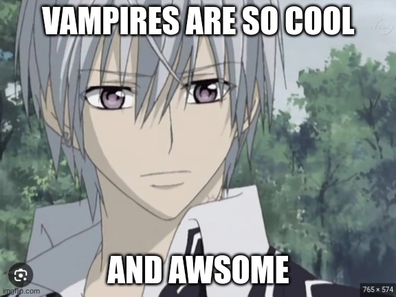 vampire knight | VAMPIRES ARE SO COOL; AND AWSOME | image tagged in vampire night | made w/ Imgflip meme maker