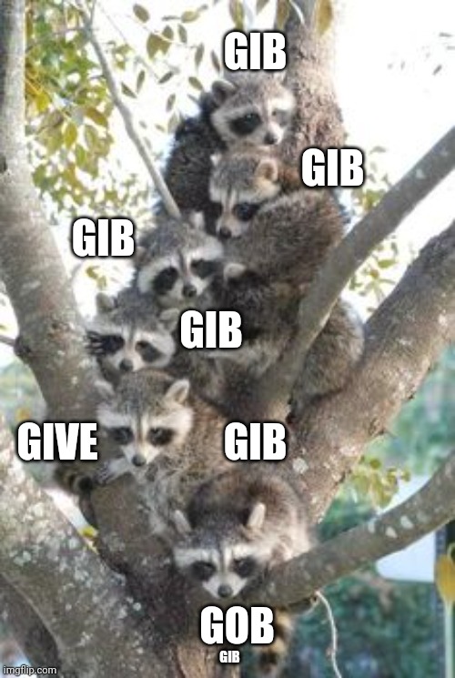 GIB GIB GIB GIB GIB GIVE GIB GOB | made w/ Imgflip meme maker