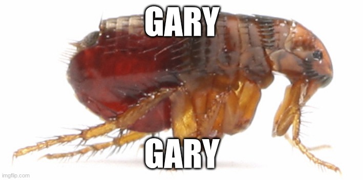 flea | GARY GARY | image tagged in flea | made w/ Imgflip meme maker