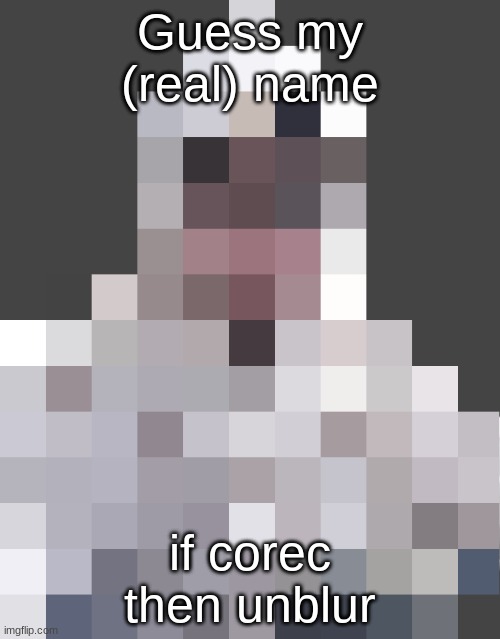 Riplos Public Service Anouncment | Guess my (real) name; if corec then unblur | image tagged in riplos public service anouncment | made w/ Imgflip meme maker