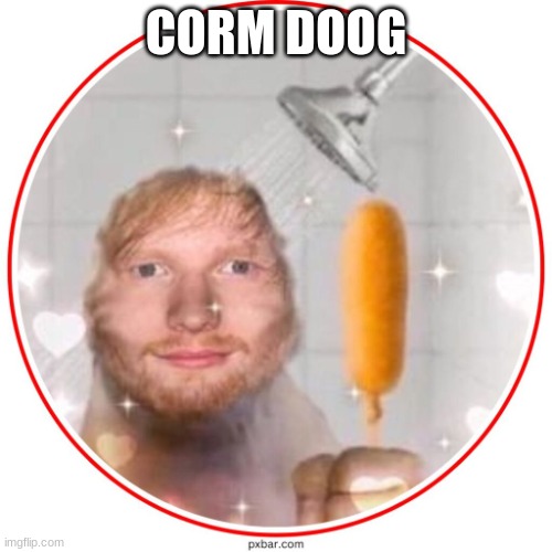 corndog sheeran | CORM DOOG | image tagged in corndog sheeran | made w/ Imgflip meme maker