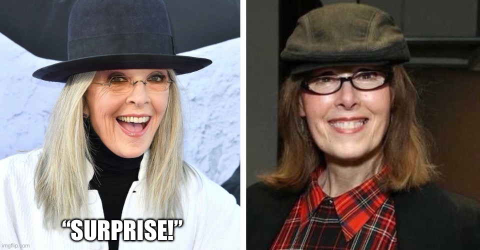 Dems weaponize Celebrities | “SURPRISE!” | image tagged in funny memes,opposite world,celebrity look alikes,e jean carroll | made w/ Imgflip meme maker