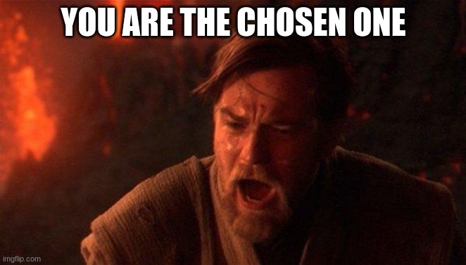 You Were The Chosen One (Star Wars) Meme | YOU ARE THE CHOSEN ONE | image tagged in memes,you were the chosen one star wars | made w/ Imgflip meme maker